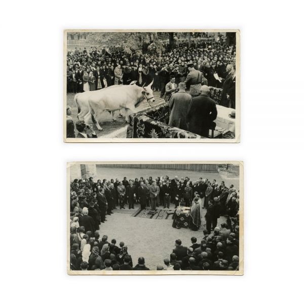 Vizita Regului Mihai în comuna Segarcea, două fotografii, 1941