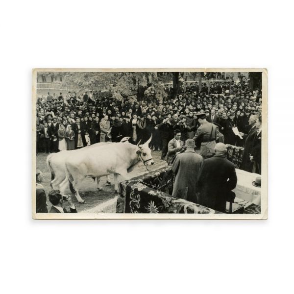 Vizita Regului Mihai în comuna Segarcea, două fotografii, 1941