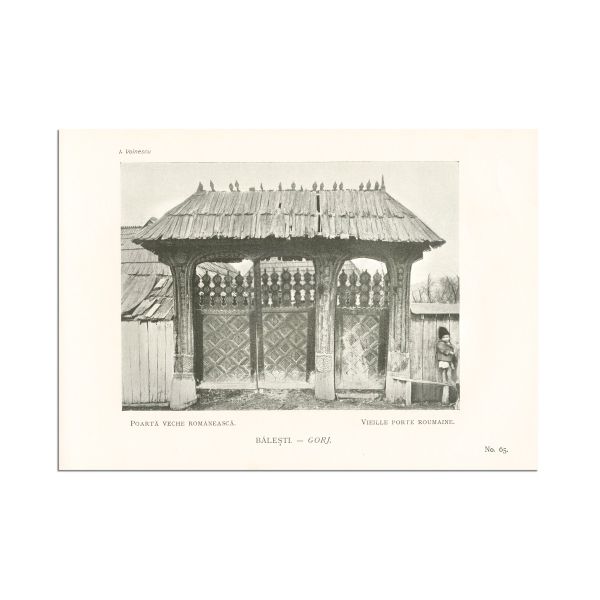 Ion Voinescu, Monumente de artă țărănească din România 