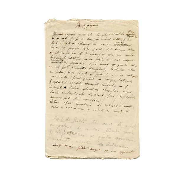 Mircea Eliade, Gâze și gângănii, manuscris 