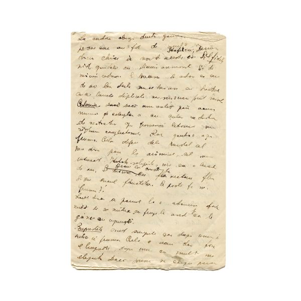 Mircea Eliade, Gâze și gângănii, manuscris 