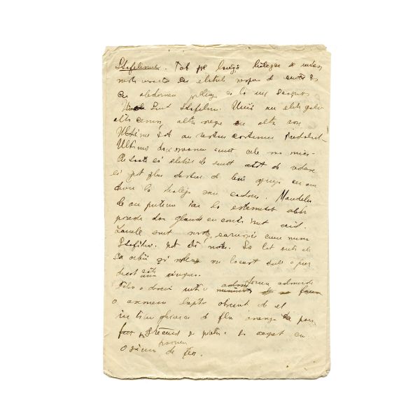 Mircea Eliade, Gâze și gângănii, manuscris 