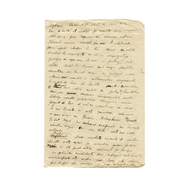 Mircea Eliade, Gâze și gângănii, manuscris 