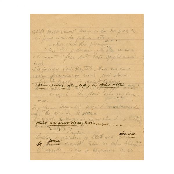 Mircea Eliade, caiet-manuscris „Din carnetul unui cercetaș”, 1922