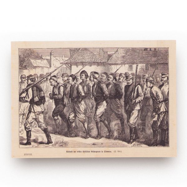Războiul de Independență, colecție de 12 rotogravuri, 1877-1878