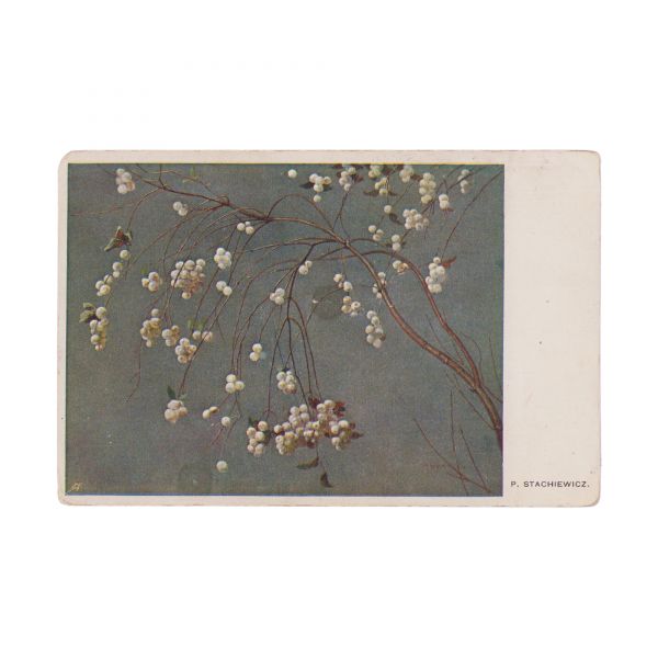 Colecție de 10 cărți poștale ilustrate expediate de principele Carol al României iubitei sale, Ella Filitti