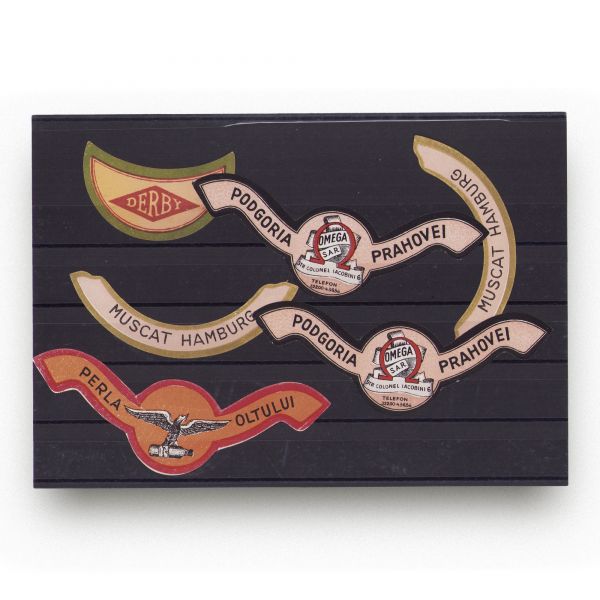 Colecție de 31 etichete pentru băuturi 