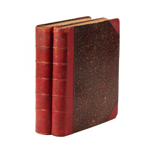 V. A. Urechia, Istoria românilor, 1896-1900, două tomuri