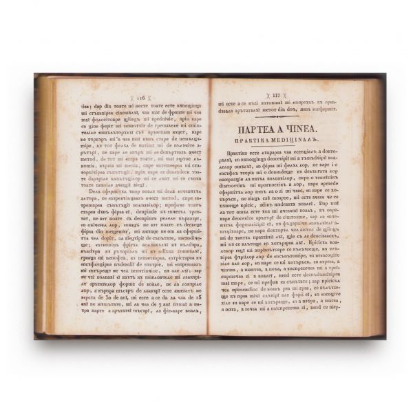 Ștefan Vasile Episcopescu, Practica doctorului de casă, 1846