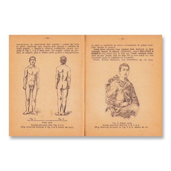 Eduard Baltzer, Carte de bucătărie vegetariană pentru prietenii vieții naturale