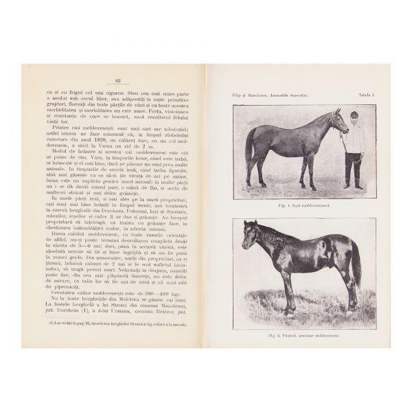 N. Filip, G. Manolescu, Studii despre animalele domestice din România, 1912