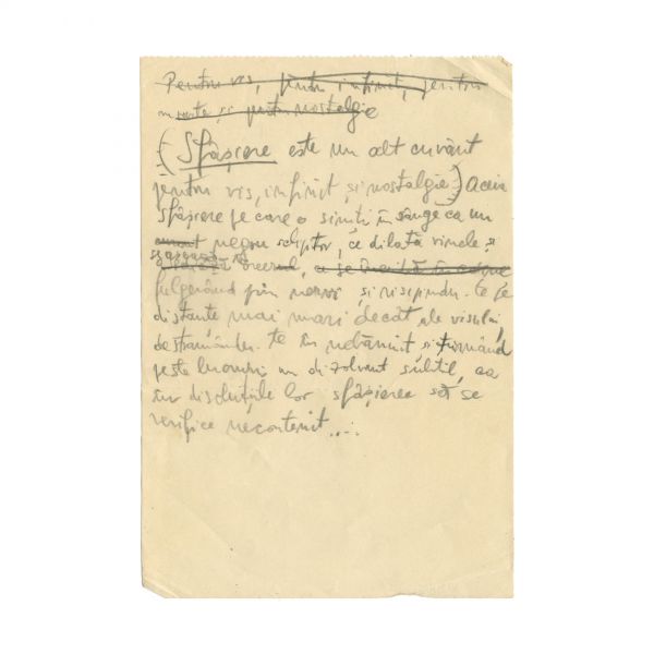 Emil Cioran, manuscris de 18 pagini - Cartea Amăgirilor