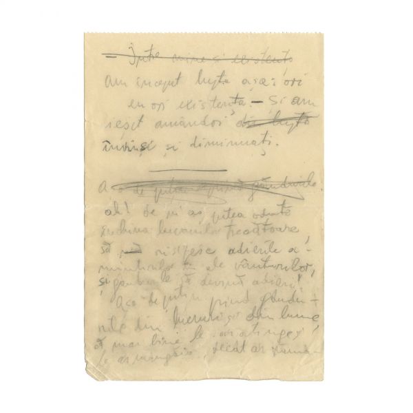 Emil Cioran, manuscris de 18 pagini - Cartea Amăgirilor
