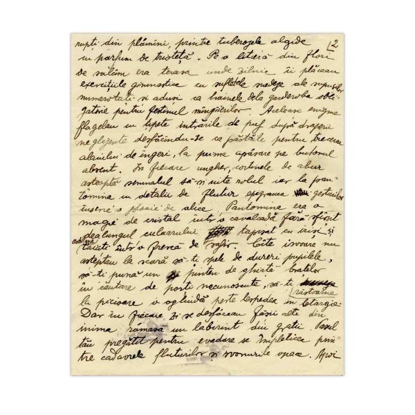 Sașa Pană, Onomastica salcâmilor, șapte file manuscris dedicate Colombei Voronca, 23.8.1930