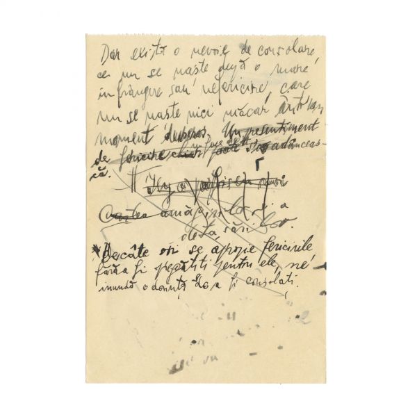 Emil Cioran, manuscris de 18 pagini - Cartea Amăgirilor