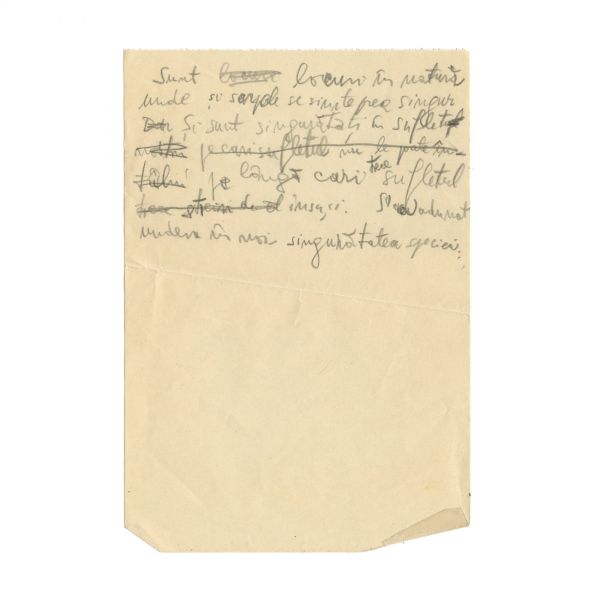 Emil Cioran, manuscris de 18 pagini - Cartea Amăgirilor