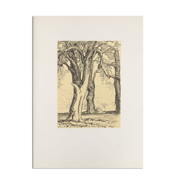 Ion Pillat, Ștefan Popescu, Florica, 1926, cu autografele autorilor