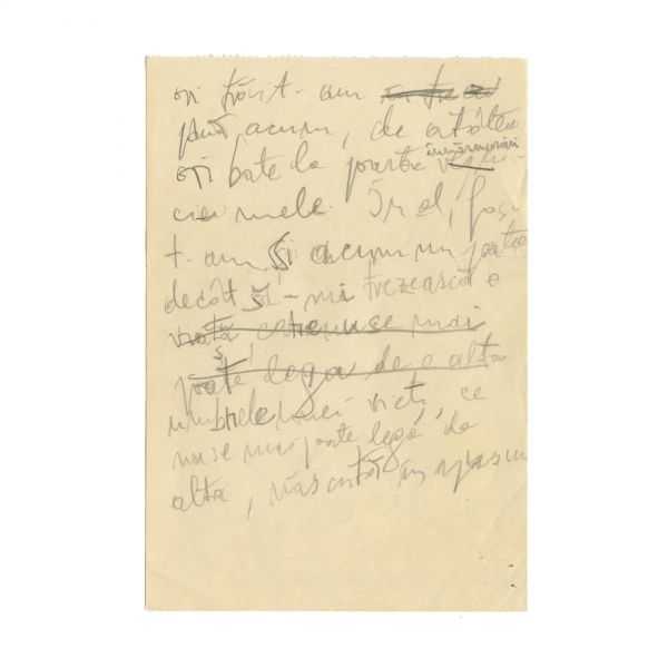 Emil Cioran, manuscris de 18 pagini - Cartea Amăgirilor