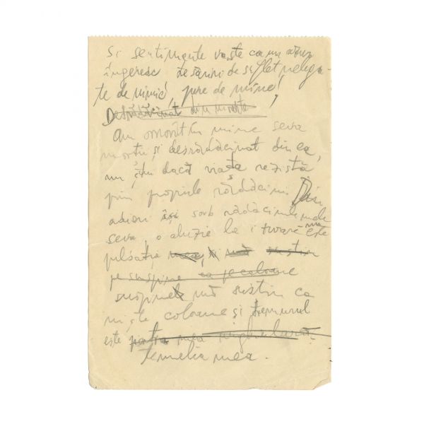 Emil Cioran, manuscris de 18 pagini - Cartea Amăgirilor