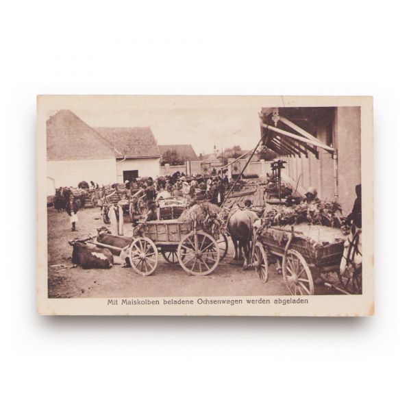 Târg la țară, vânzător de mături, cultivator tătar de tutun, 3 fotografii tip carte poștală 