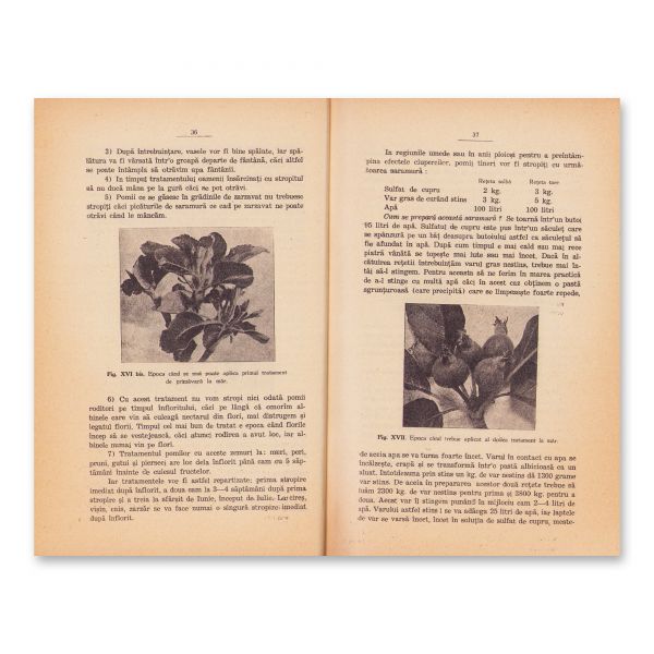 Tratamentul pomilor roditori, 1932 + Din lumea plantelor, 1917