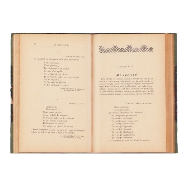 Culegere de descântece din județul Romanați, cu o prefață de N. Iorga, 1907