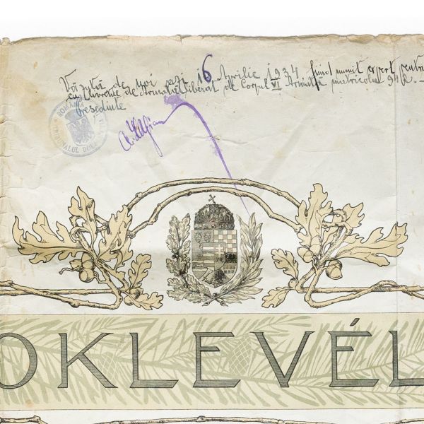 Aurel Moldovan, diplomă de inginer silvic, 1917