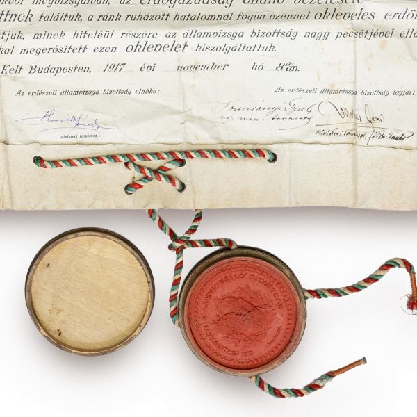 Aurel Moldovan, diplomă de inginer silvic, 1917