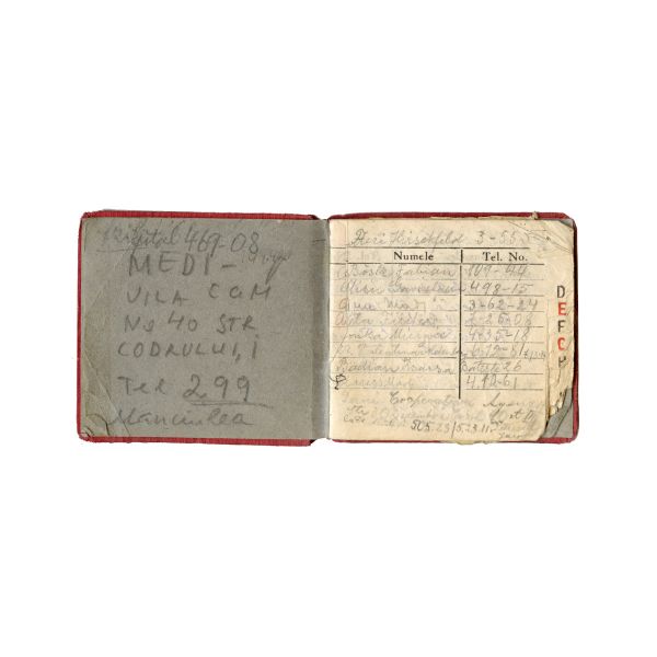 Medi Wechsler-Dinu, Jurnal intim și documente din arhivă personală