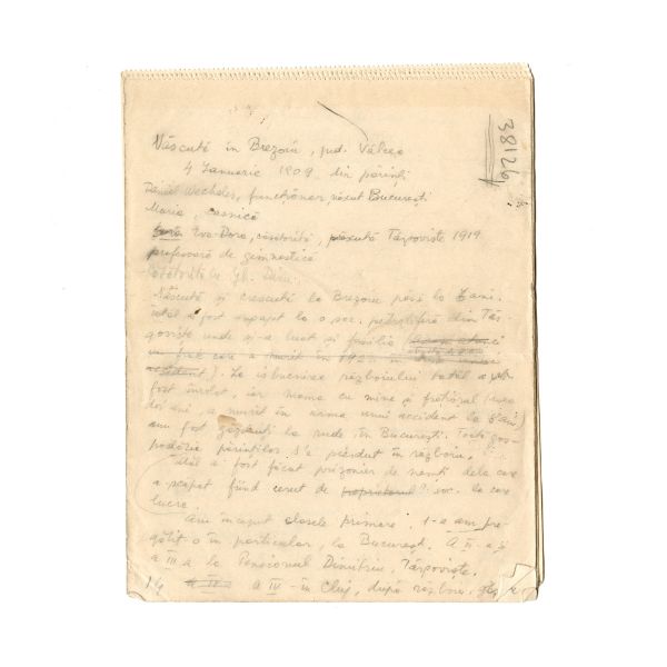 Medi Wechsler-Dinu, Jurnal intim și documente din arhivă personală