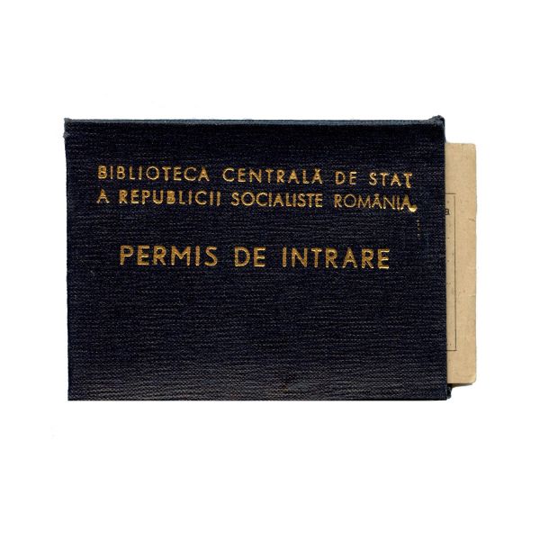 Medi Wechsler-Dinu, Jurnal intim și documente din arhivă personală