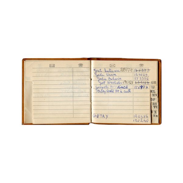 Medi Wechsler-Dinu, Jurnal intim și documente din arhivă personală