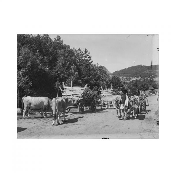 Grupuri de țărani, 33 de clișee fotografice realizate de arh. Victor Ștefănescu