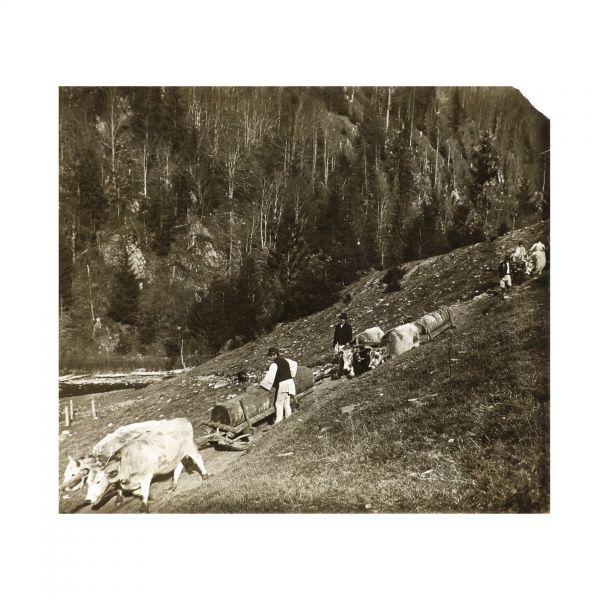 Grupuri de țărani, 33 de clișee fotografice realizate de arh. Victor Ștefănescu