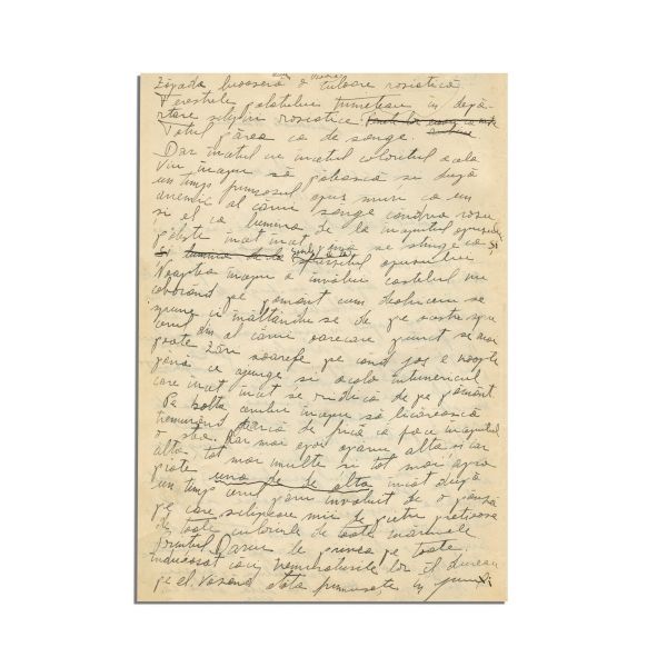 Geo Bogza, manuscris „Încercări de literatură - Lacrimile Mamei”, 1926