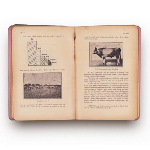 Virgil Hilt, România economică pentru clasa VIII-a superiară de comerț, 1939