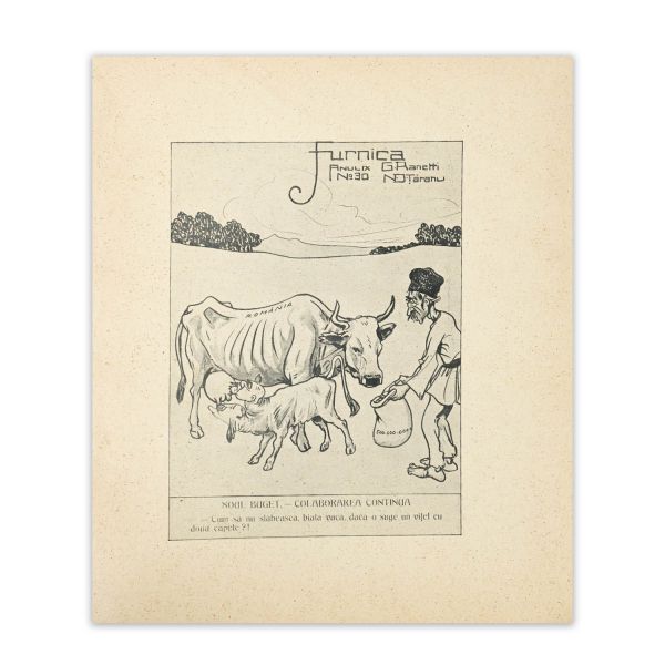 Tudor Șoimaru, Istoria vieții publice din România, 1928-1938
