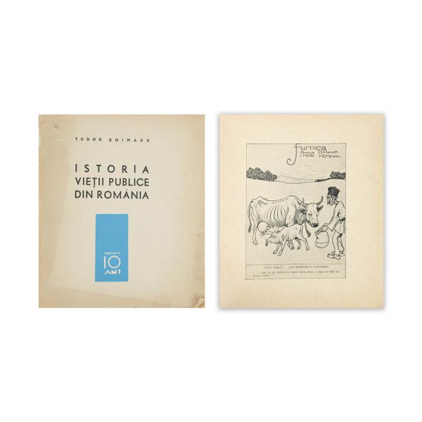 Tudor Șoimaru, Istoria vieții publice din România, 1928-1938