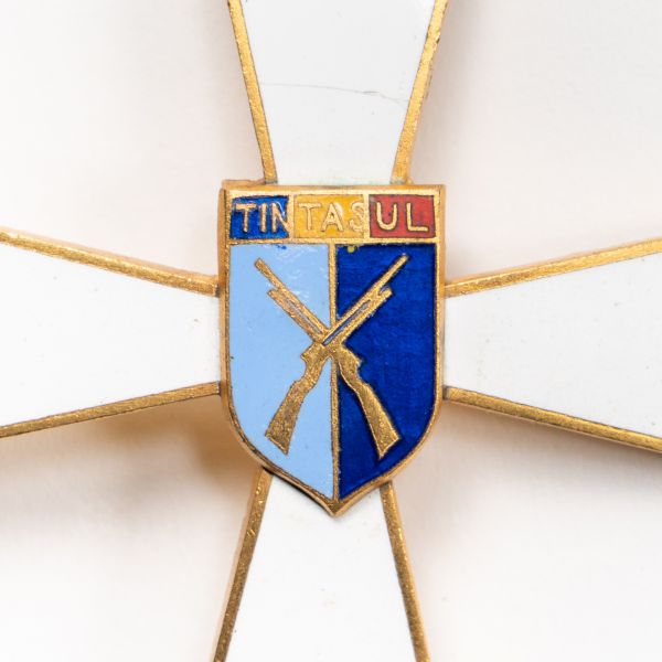 Insignă de țintaș