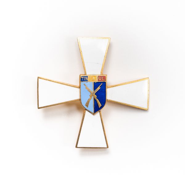 Insignă de țintaș