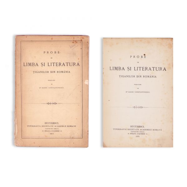 Dr. Barbu Constantinescu, Probe de limba și literatura țiganilor din România, 1878