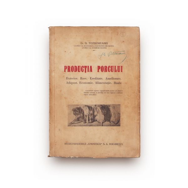 Dr. N. Teodoreanu, Producția porcului, cca. 1948 
