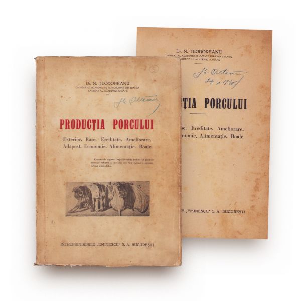 Dr. N. Teodoreanu, Producția porcului, cca. 1948 