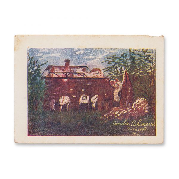 Camelia Achimescu, Orașul Mărășești după război, 1918, 12 cărți poștale ilustrate