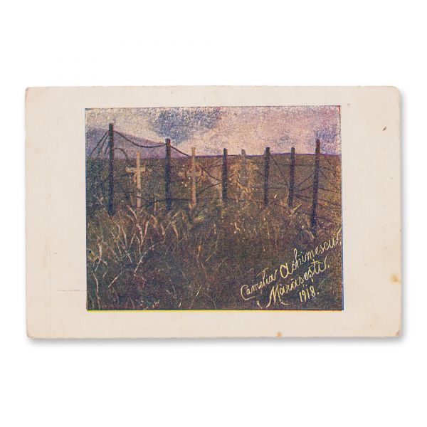 Camelia Achimescu, Orașul Mărășești după război, 1918, 12 cărți poștale ilustrate