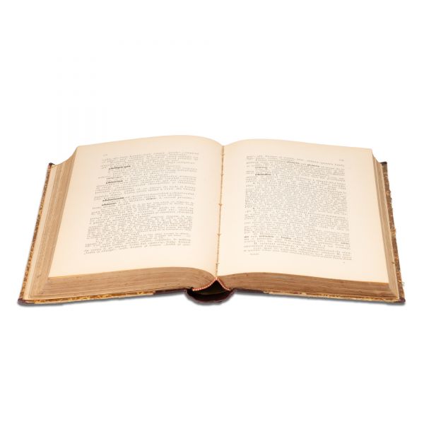 Lazăr Șăineanu, Influența orientală asupra limbii și culturii române, două volume colligate