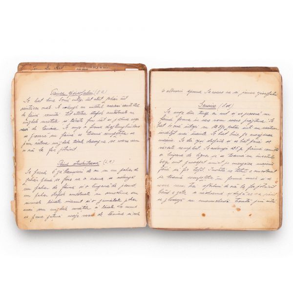 Două caiete cu rețete de prăjituri