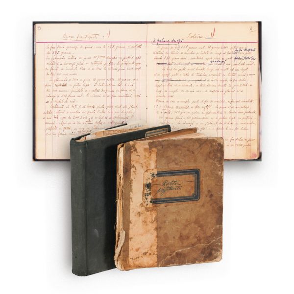 Două caiete cu rețete de prăjituri