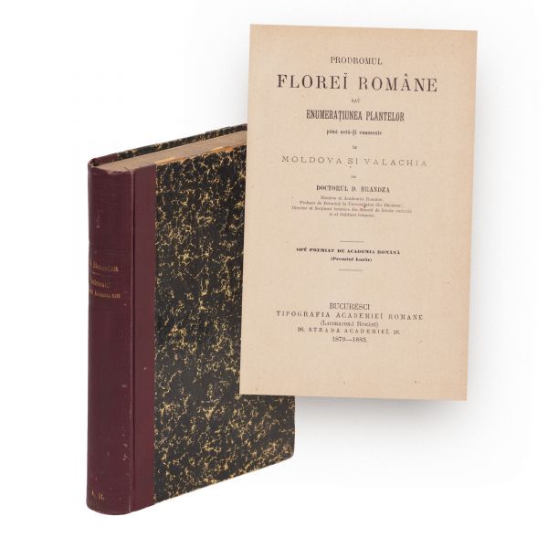Dimitrie Brândză, Prodromul florei române, 1879-1883