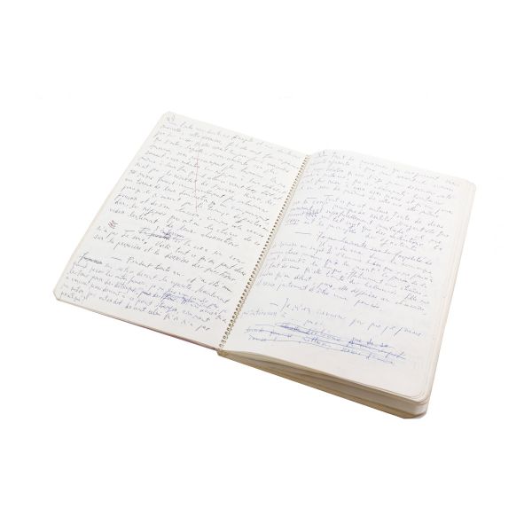 Emil Cioran, Aveux et anathèmes, manuscrisul lucrării integrale